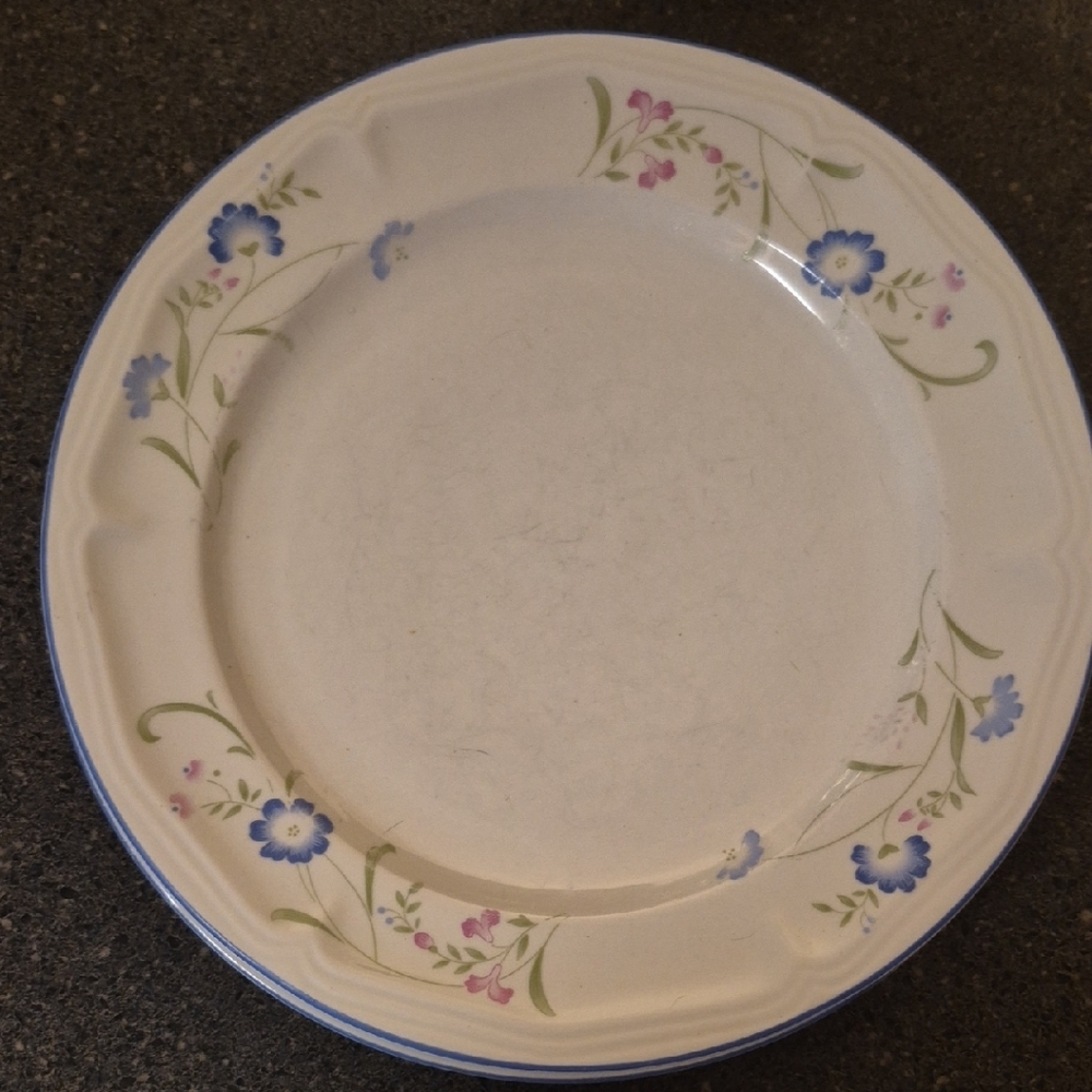 Elegant Blue and White Dinnerware Set